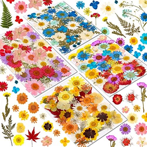 Real Dried Pressed Flowers for Resin, Natural Dry Flowers Leaves Bulk Herbs Kit for DIY Scrapbooking Stamping Supplies Epoxy Resin Jewelry Molds Candle Soap Making Nails Décor Art Crafts by Cruzix