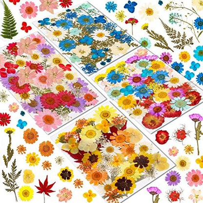 Real Dried Pressed Flowers for Resin, Natural Dry Flowers Leaves Bulk Herbs Kit for DIY Scrapbooking Stamping Supplies Epoxy Resin Jewelry Molds Candle Soap Making Nails Décor Art Crafts by Cruzix