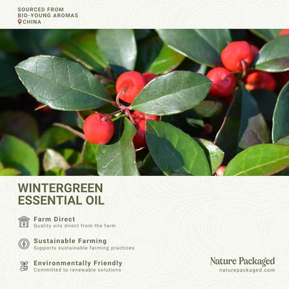 Nature Packaged Wintergreen Essential Oil - Direct from Bio-Young Aromas China - Steam Distilled - Aceite de Gaulteria for Aromatherapy, Massage, Diffuser, DIY Candle and Soap Making - 2lbs
