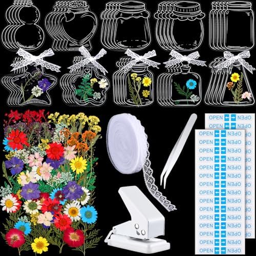 Faccito 135 Pcs Dried Flower Bookmark Making Kit Spring Craft 80 Pressed Flower and 50 Transparent Bookmarks with Hole Puncher Lace Tweezer DIY Book Mark Kits for Classroom Students Adults Party by Faccito