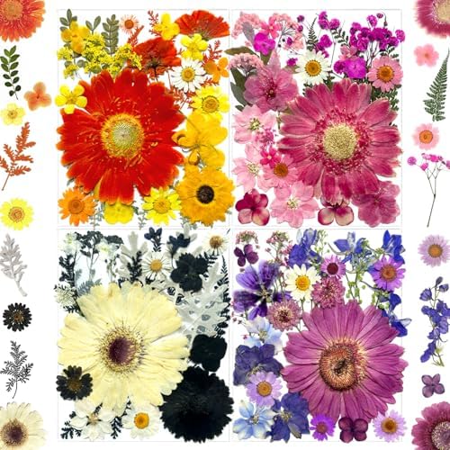 MIKIYA 106Pcs Big Dried Pressed Flowers for Resin, Assorted Real Natural Bulk Dry Floral Leaves for DIY Art Crafts, Epoxy Molds, Jewelry, Soap, Candle Making, Nails Decors by MIKIYA
