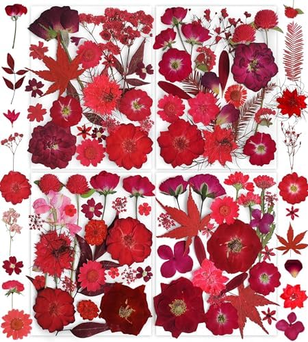 150PCS Red Dried Pressed Flowers with Butterfly Stickers - YouthBro Real Nature Flowers Herb Set for Resin DIY Jewelry Candle Soap Vase Making Nail Card Scrapbook Art Craft Floral Decors by YouthBro