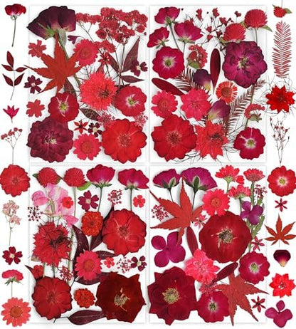 150PCS Red Dried Pressed Flowers with Butterfly Stickers - YouthBro Real Nature Flowers Herb Set for Resin DIY Jewelry Candle Soap Vase Making Nail Card Scrapbook Art Craft Floral Decors by YouthBro