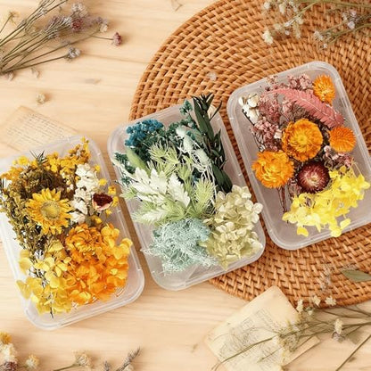 2PCS Dried Flowers Kit, Natural Dried Flowers Kit for DIY Crafts, Scrapbook, Card Making (Style18_24_27) - Image 4