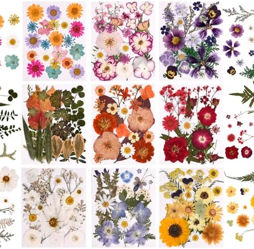 9 Packs of 200 Pressed Dried Flowers and Leaves for DIY Crafts by Cokosing