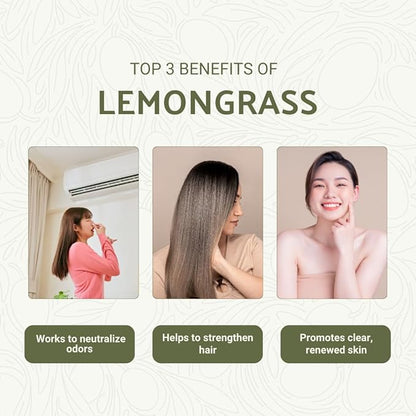 Nature Packaged Lemongrass Essential Oil - Natural Aceite de Hierba Limón from Norex Flavours India - Lemongrass Essential Oils for Hair, Aromatherapy and Massage (2lbs)