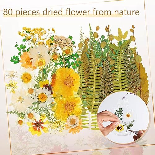 TaoBary 161 Pcs Transparent Dried Flower Bookmarks DIY Kit, Fresh - Image 5