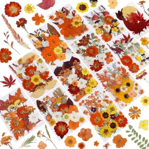 277 Pcs Autumn Dried Flowers for Crafts,Real Nature Dried Flowers for Resin by NESCCI