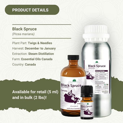 Nature Packaged Black Spruce Essential Oil from Canada - Pure Essential Oils for Diffuser, Humidifier, or Aromatherapy- Fresh & Forest-Like | Pure Therapeutic Grade (2LBS)