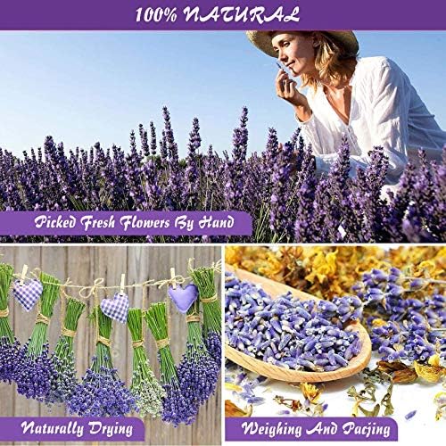 15g/Bag Dried Flowers,100% Natural Dried Flowers Herbs Kit for Soap Making, DIY Candle Making,Bath - Include Rose Petals,Lavender,Don't Forget Me,Lilium,Jasmine,Rosebudsand More(16 Bags) - Image 3
