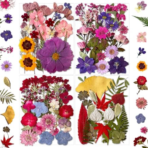 MIKIYA 85Pcs Dried Pressed Flowers for Resin Molds, Real Natural Bulk Dry Floral Leave for DIY Art Crafts, Epoxy Jewelry, Candle, Soap Making, Nails Decors Gifts by MIKIYA