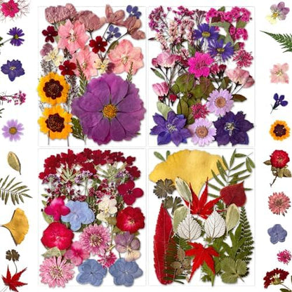 MIKIYA 85Pcs Dried Pressed Flowers for Resin Molds, Real Natural Bulk Dry Floral Leave for DIY Art Crafts, Epoxy Jewelry, Candle, Soap Making, Nails Decors Gifts by MIKIYA