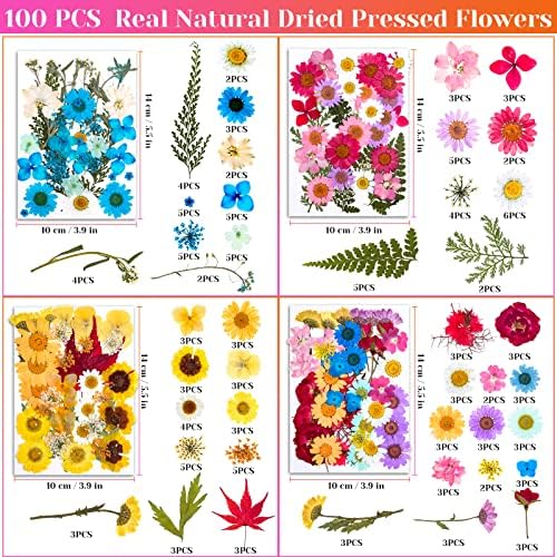 Real Dried Pressed Flowers for Resin, Natural Dry Flowers Leaves Bulk Herbs Kit for DIY Scrapbooking Stamping Supplies Epoxy Resin Jewelry Molds Candle Soap Making Nails Décor Art Crafts - Image 3