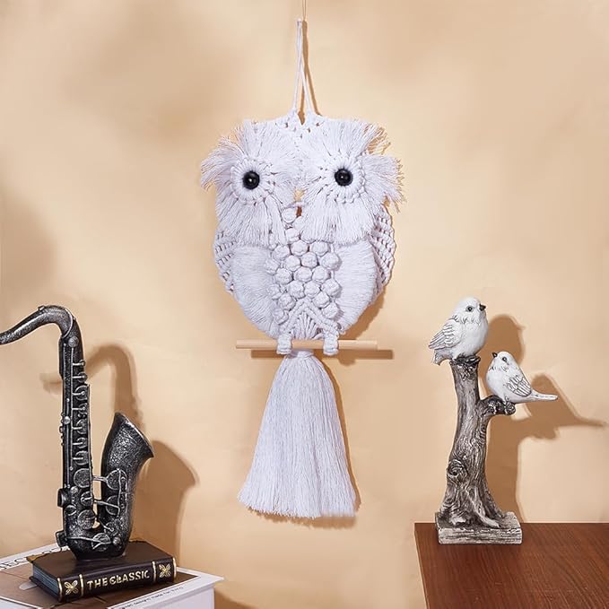 FREEBLOSS DIY Macrame Owl Kit with Instructions Macrame Wall Hanging Ornament Boho Wall Hanging Decor Pure White Macrame Tapestry Gift Macrame Kit for Beginners
