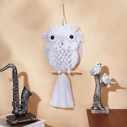 FREEBLOSS DIY Macrame Owl Kit with Instructions Macrame Wall Hanging Ornament Boho Wall Hanging Decor Pure White Macrame Tapestry Gift Macrame Kit for Beginners