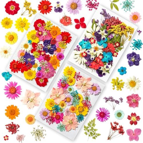 Dried Pressed Flowers for Resin Crafts, Real Dried Flowers and Leaves Kit for Resin Jewelry Molds, Candle & Soap Making, Scrapbooking DIY, Nail Art (Multicolored) by SOMNINOX