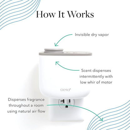 Aera Optimism Aromatherapy Essential Oil Home Fragrance Scent Refill - Notes of Bergamot, Damask Rose and Basil - Works with Aera Mini Diffuser, Mini Scent Capsule Size