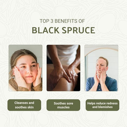 Nature Packaged Black Spruce Essential Oil from Canada - Pure Essential Oils for Diffuser, Humidifier, or Aromatherapy- Fresh & Forest-Like | Pure Therapeutic Grade (5ml)