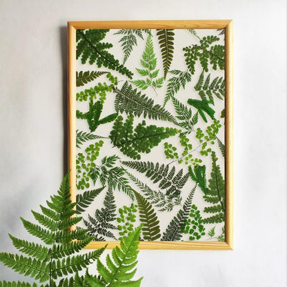 55 Pcs Green Leaves Ferns Dried Pressed Flowers for Crafts,Real Nature Dry Flower Bulk for Resin Jewelry Making Candle Making Frame Decoration Art Floral Decors - Image 4