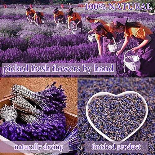 20 Bags Dried Flowers,100% Natural Dried Flowers Herbs Kit for Soap Making, DIY Candle Making,Bath - Include Rose Petals,Lavender,Don't Forget Me,Lilium,Jasmine,Rosebudsand More - Image 3