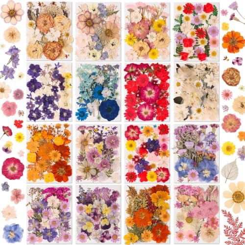 Evatage 480 Pcs Real Dried Pressed Flowers for Resin Crafts by Evatage
