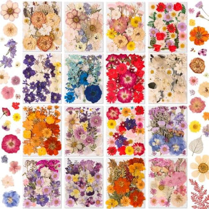 Evatage 480 Pcs Real Dried Pressed Flowers for Resin Crafts by Evatage