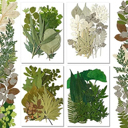 Timtin 84 Pcs Dried Pressed Leaves Flowers for Resin, Classic by Timtin