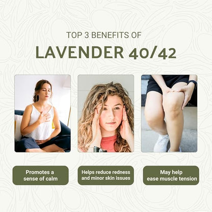 Nature Packaged Lavender 40/42 Essential Oil Direct from France - Essential Oil for Candle Making and Soaps - Pure Lavender 40/42 Oil for Aromatherapy, Skincare, Haircare, Perfumes (8oz)