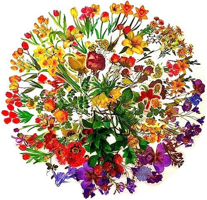 BLEDS 141 PCS Scrapbook Stickers Supplies, 120 PCS Nature Flower Self-Adhesive Stickers Plus 21PCS Big Size Scrapbooking Stickers Journaling Kit for Junk Journal Craft Card Making Decorative by BLEDS