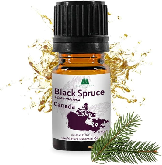 Nature Packaged Black Spruce Essential Oil from Canada - Pure Essential Oils for Diffuser, Humidifier, or Aromatherapy- Fresh & Forest-Like | Pure Therapeutic Grade (5ml)