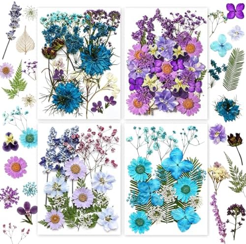 Dried Pressed Flowers for Resin Crafts, Real Dried Flowers and Leaves Kit for Resin Jewelry Molds, Candle & Soap Making, Scrapbooking DIY, Nail Art (Purple, Blue) by SOMNINOX