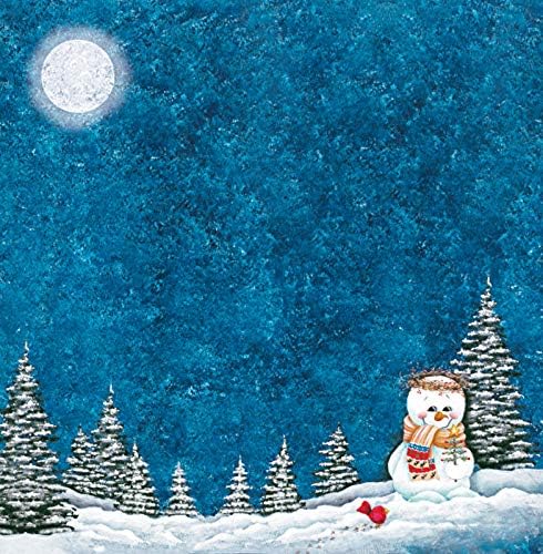 Paper Wishes – 12x12 Bulk Paper Collection | Unique and Fun Papers for Scrapbooking, Cardmaking, Gifts and All of Your DIY Crafting, Art and Creative Projects - Inspiration at Your Fingertips by PaperWishes