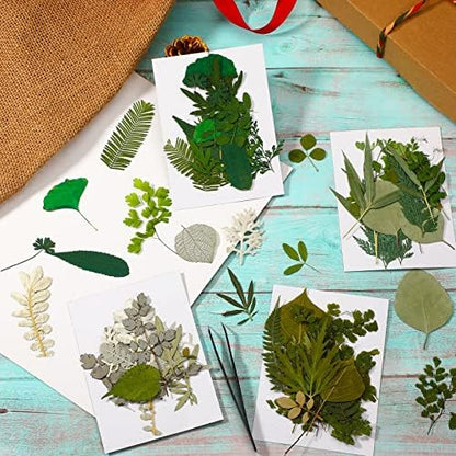 Timtin 84 Pcs Dried Pressed Leaves Flowers for Resin, Classic - Image 7