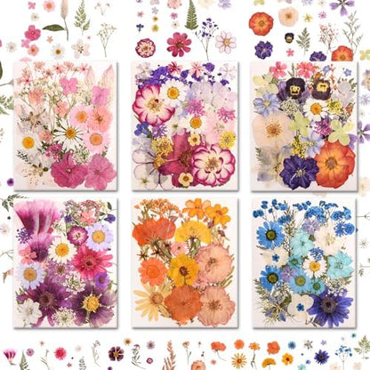 182 PCS Real Pressed Dried Flowers and Leaves for DIY Crafts by Cokosing