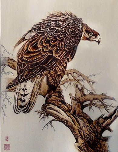 TOPCHANCES Wood Burning Kit,Wood Burning Kit for Adults,25W Pyrography Wood Machine Kit Set for Woodburner Gourd Crafts - Image 4
