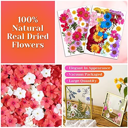 Real Dried Pressed Flowers for Resin, Natural Dry Flowers Leaves Bulk Herbs Kit for DIY Scrapbooking Stamping Supplies Epoxy Resin Jewelry Molds Candle Soap Making Nails Décor Art Crafts - Image 4