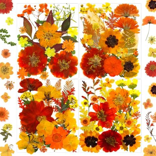 MIKIYA 90Pcs Fall Pressed Dried Flowers for Resin, Real Assorted Autumn Natural Bulk Orange Dry Floral Leaves for DIY Art Crafts, Epoxy Molds, Jewelry, Soap, Candle Making by MIKIYA