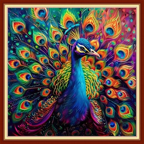 Joyhoor Stamped Cross Stitch Kits for Beginners, Needlepoint Kits for Adults, 11CT Counted Embroidery Kits-Colorful Peacock 18x18 inchs by JoyhoorCrossStitchKits