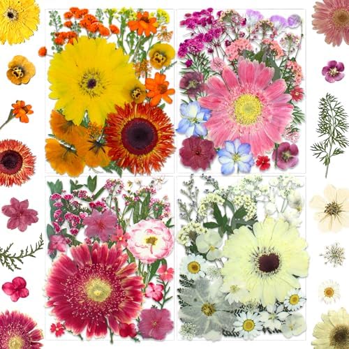 100 Pcs Big Dried Pressed Flowers for Resin Molds, Real Natural Bulk Dry Wildflowers Leaves Perfect for Epoxy, DIY Crafts, Nails, Soap Candles Jewelry Making, and Home Decor by SUAUKEYDRIEDFLOWERS