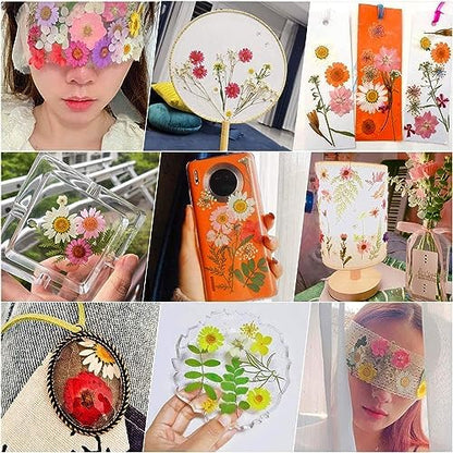11 Types 40pc Colourful Dried Pressed Flowers for Resin Real Flowers for DIY Bookmark Scrapbook Photo Frame Jewelry Vase Candle Making Nail Card Art Craft Floral Decors - Image 7