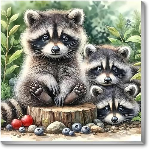 Paint by Numbers Kit for Adults,Raccoon DIY Paint by Number With Frame by TCDZMYGS