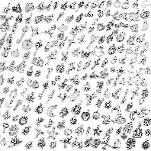 Acejoz 200Pcs Silver Charms for Jewelry Making and Bracelets, Wholesale Bulk Assorted Mixed Tibetan Earring Charms for DIY Necklace Bracelet Jewelry Making and Crafting by ProfessionalDIYArtSupplier