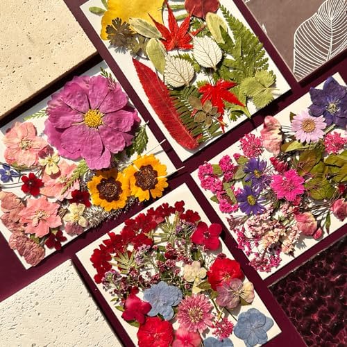 MIKIYA 85Pcs Dried Pressed Flowers for Resin Molds, Real Natural Bulk Dry Floral Leave for DIY Art Crafts, Epoxy Jewelry, Candle, Soap Making, Nails Decors Gifts - Image 3