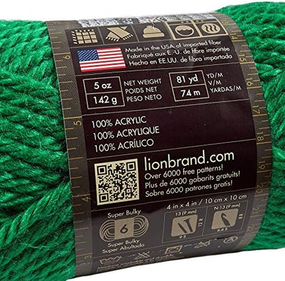 Lion Brand Hometown Yarn - Bulky Yarn for Knitting and Crocheting, 5-Pack, Green Bay - Image 3