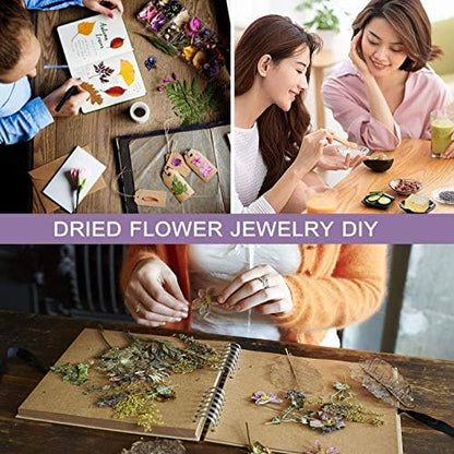 24 Bags Dried Flowers,100% Natural Dried Flowers Herbs Kit for Soap Making, DIY Candle Making,Bath - Include Rose Petals,Lavender,Don't Forget Me,Lilium,Jasmine,Rosebudsand More - Image 6