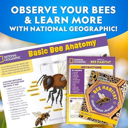National Geographic Build a Bee Habitat Nature Craft Kit for Kids - Image 6