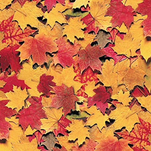Paper Wishes – 12x12 Bulk Paper Collection | Unique and Fun Papers for Scrapbooking, Cardmaking, Gifts and All of Your DIY Crafting, Art and Creative Projects - Inspiration at Your Fingertips by PaperWishes