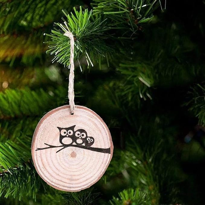 Unfinished Natural Wood Slices 32 Pcs 3.5-4 Inch Wood Coaster Sets Pieces Craft Wood kit Predrilled with Hole Wooden Circles Great for Arts and Crafts Christmas Ornaments DIY Crafts Rustic Wedding