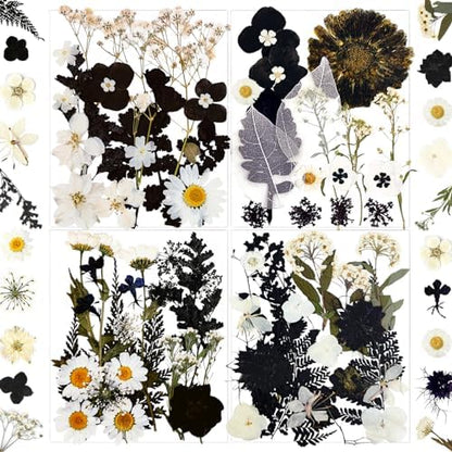 MIKIYA 84Pcs Black Dried Pressed Flowers for Resin Molds, Bulk Real Natural Dry Floral for DIY Art Crafts, Epoxy Jewelry, Candle, Soap Making, Nails Decor, Phone Case by MIKIYA