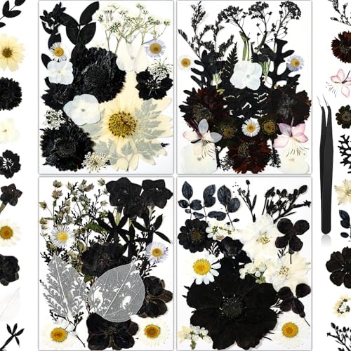 85 PCS Black Dried Pressed Flowers for Crafts Resin by HLCYGJIN